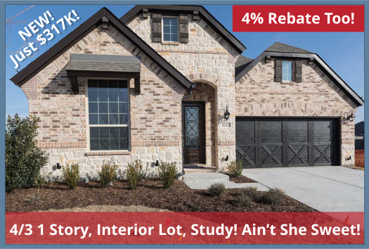 Spec Inventory Home for Sale in Little Elm, Huge Price Reduction
